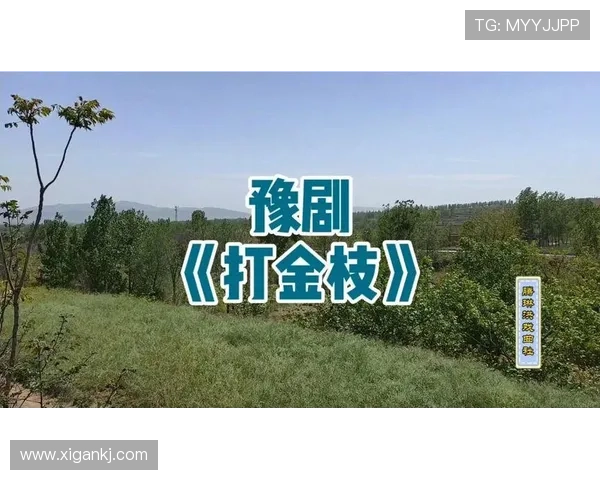 闊╁獟鍔涜崘鐢冲彴榫欐墽鏁欏浗瓒筹細鏇捐浼婁竾鍑昏触锛岃兘鍚︽墦鐮磋川鐤戯紵 闊╁獟鍔涜崘鐢冲彴榫欐墽鏁欏浗瓒筹細鏇捐浼婁竾鍑昏触锛岃兘鍚︽墦鐮磋川鐤戯紵